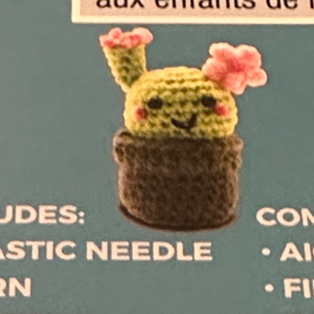 Adorable Crochet Cactus Plush with Pink Flowers kit